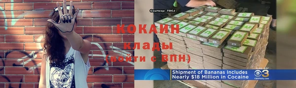 прущие грибы Вязники
