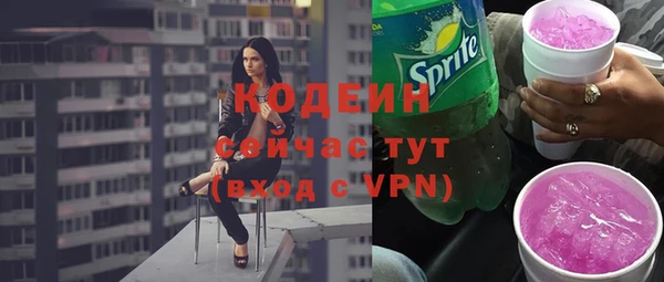 прущие грибы Вязники