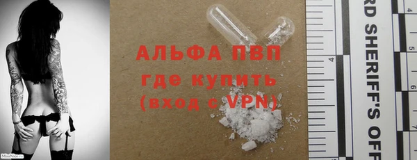 прущие грибы Вязники