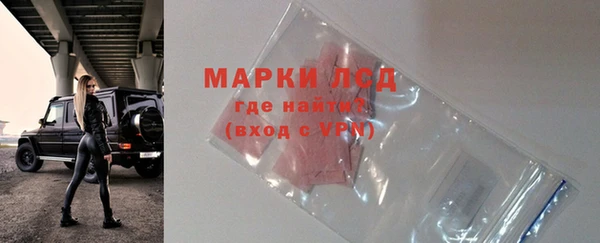 прущие грибы Вязники