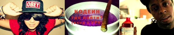 прущие грибы Вязники