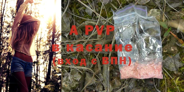 прущие грибы Вязники
